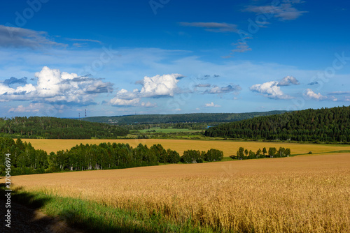 Summer Landscape with Wheat Field and Clouds