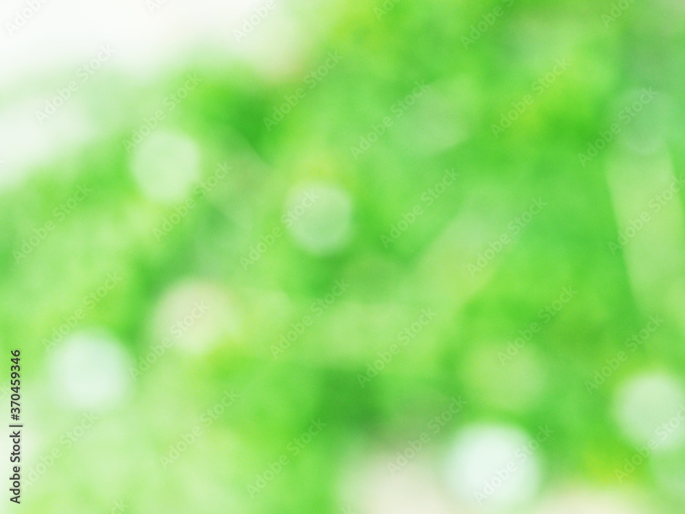 Abstract light green color bokeh beautiful blurred nature background