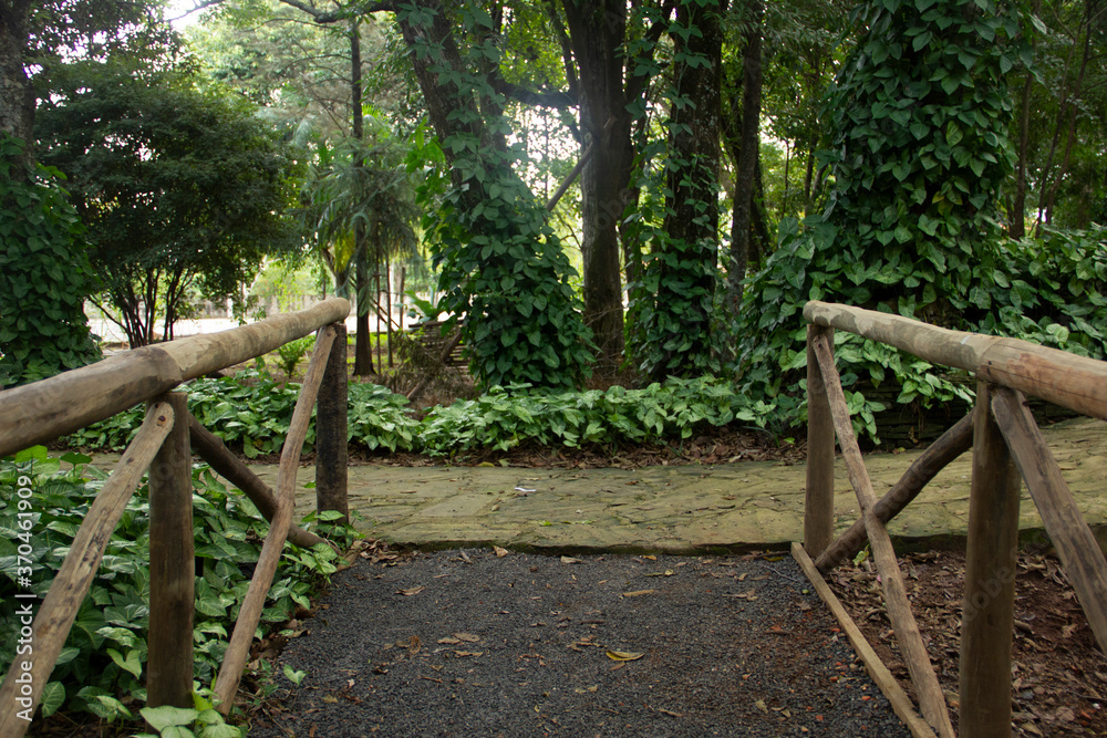 wooden bridge in the forest