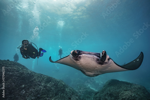 Foto beautiful Manta Ray underwater with scuba divers