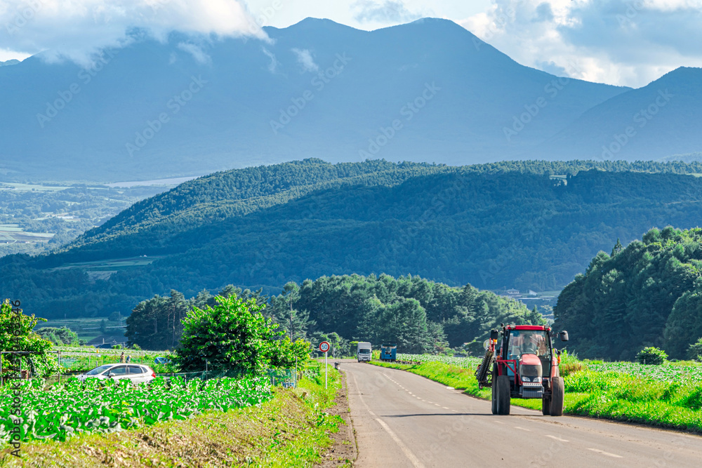 【群馬県 嬬恋村】キャベツ畑の広がる、嬬恋パノラマライン