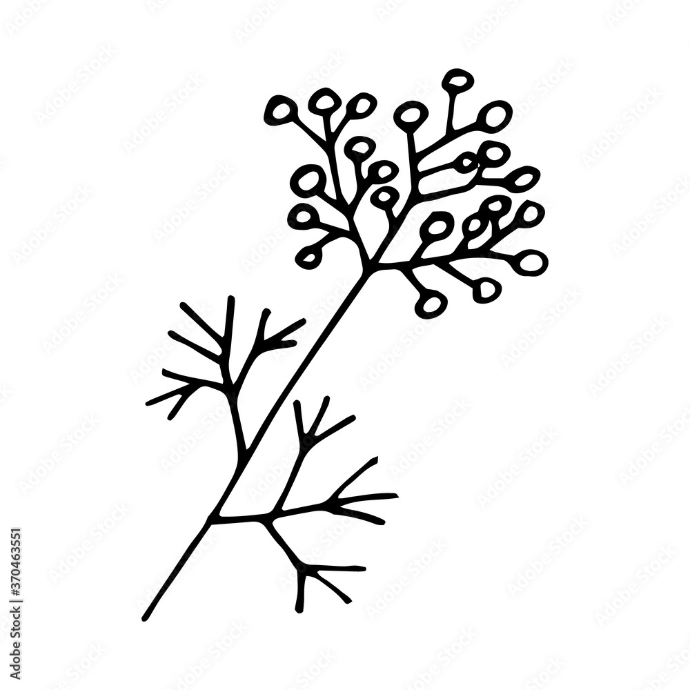 branch with berries and leaves hand drawn in doodle style. single element for design icon, card, poster, sticker. vector, scandinavian, hygge, monochrome. autumn, foliage forest plant