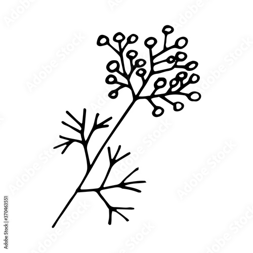 branch with berries and leaves hand drawn in doodle style. single element for design icon  card  poster  sticker. vector  scandinavian  hygge  monochrome. autumn  foliage forest plant