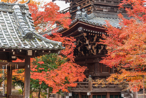 Details of pagoda in Japanese temple Shinnyodo Temple in Kyoto, Japan photo