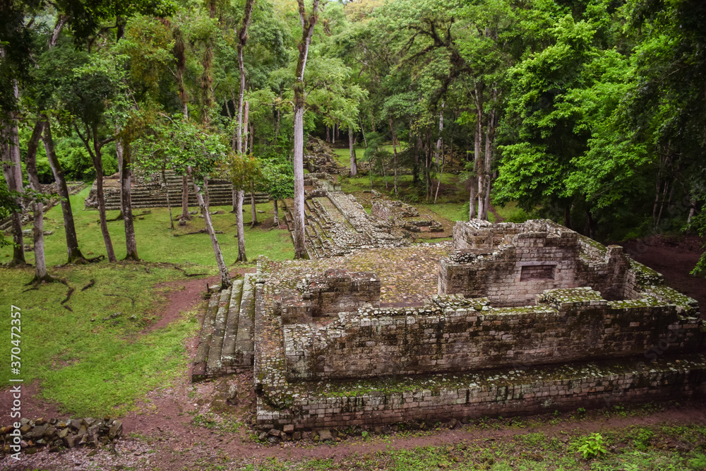 aerial landscape of Mayan ruins in Copan surrounded by jungle and green vegetation
