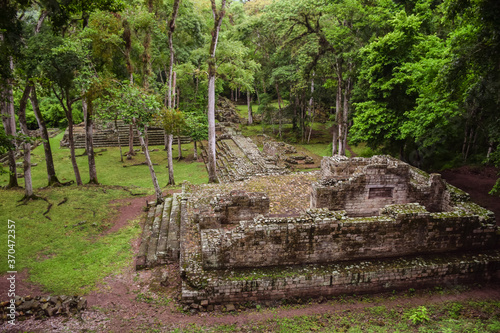 Obraz na płótnie aerial landscape of Mayan ruins in Copan surrounded by jungle and green vegetation w salonie