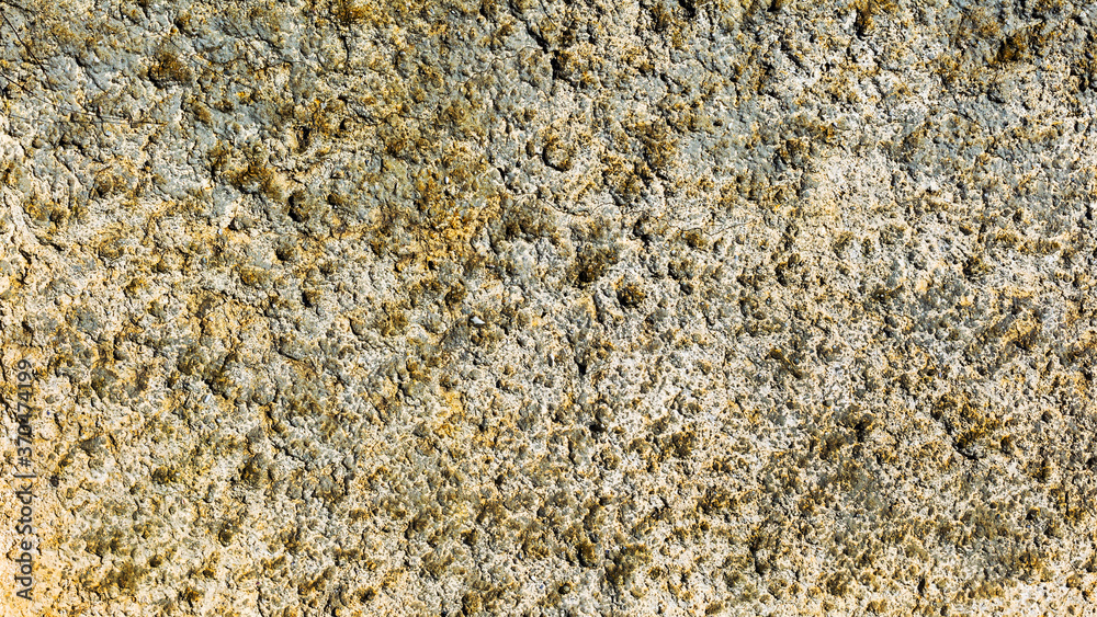 Textured background surface of the stone in the mountains Textured background surface of the stone in the mountains