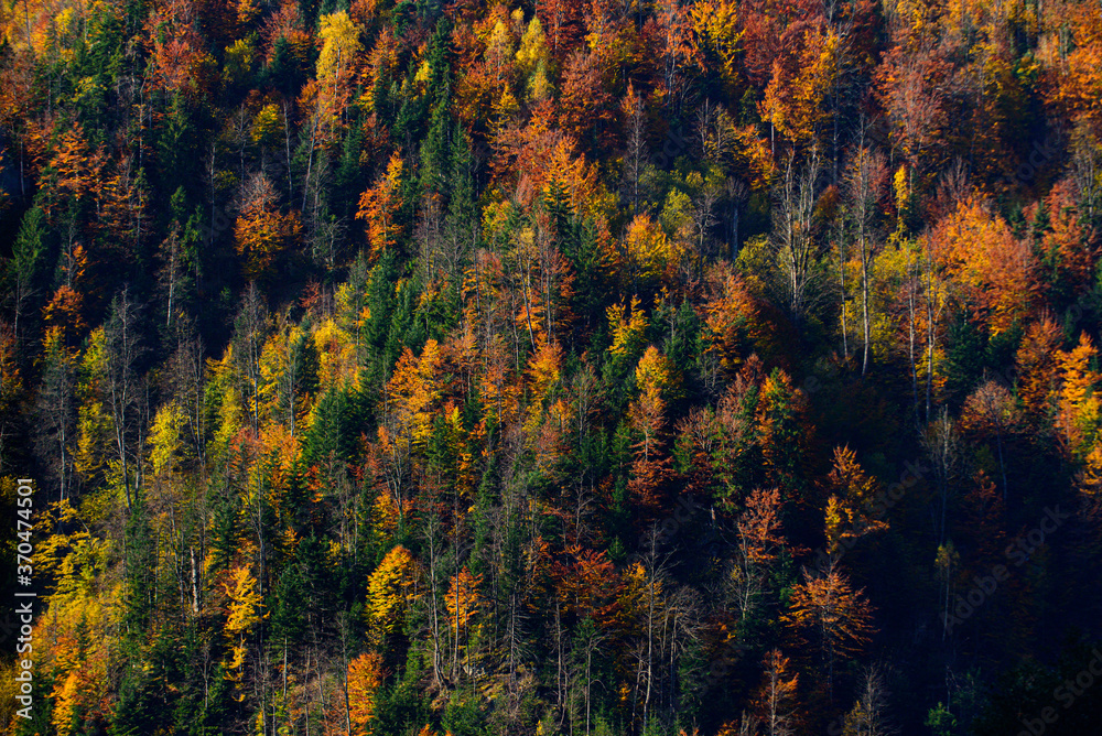 Colorful foliage. Landscape of mountains during autumn time.