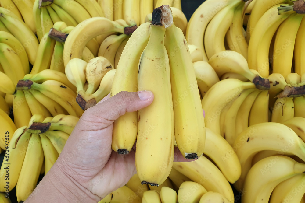 Hand holding a bunch of yellow banana on a local market stall