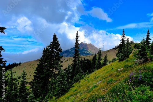 Mountain landscape in the summer