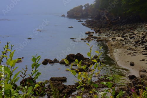 Foggy beach