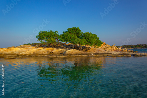south landscape photography of summer shore line of Greece Aegean sea bay picturesque vivid green tropic tree growing up from rocks in clear weather day