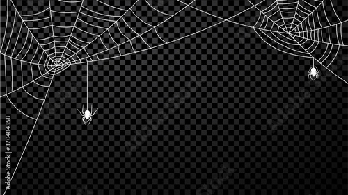 White spiderweb with spiders on transparent background.