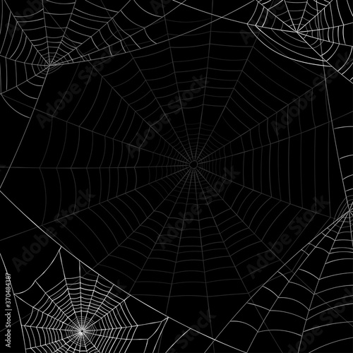 White spiderweb and shadow spiderweb on black background.