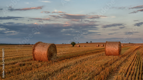 hay bales in the field blue sky