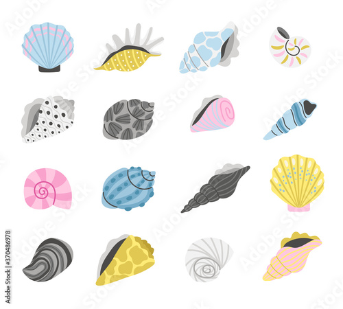 Marine seashells. Cartoon sea shell objects, hand drawn colorful shells, elements of concept of ocean treasure and beach sand coast, ocean items vector illustration isolated on whit