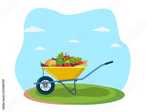 Garden cart with eggplant, tomato, beetroot, zucchini, pepper, cucumber, carrot. Organic farm products. Metal wheelbarrow full of ripe vegetables. Vector illustration in flat style