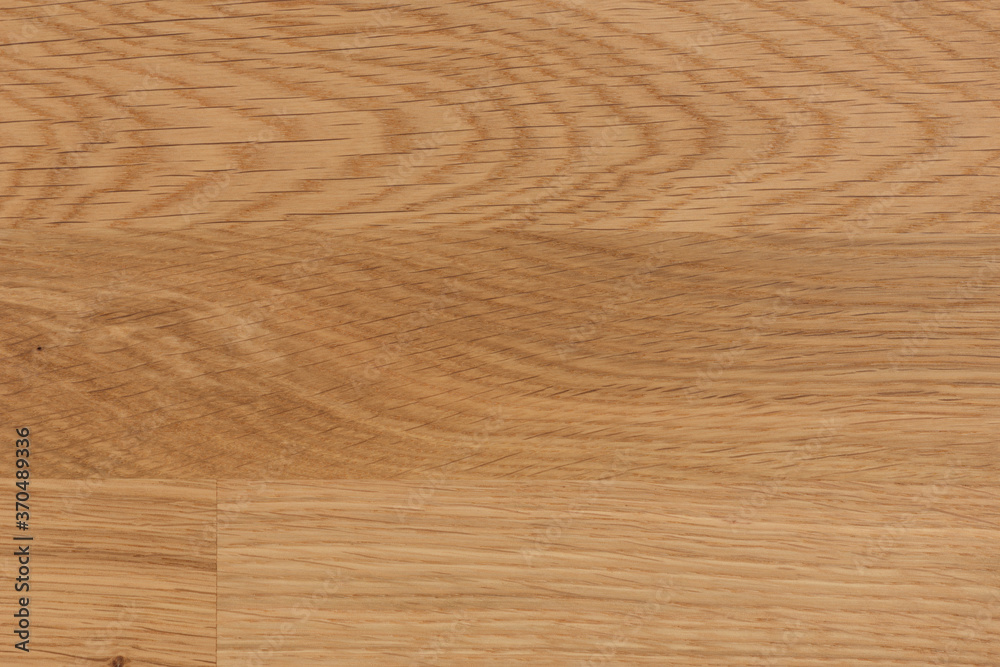 Fototapeta premium background of Ash wood on furniture surface