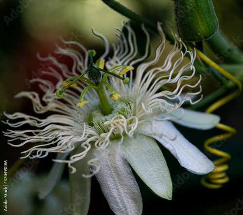 Beautiful Bright Colored Summer Flowers