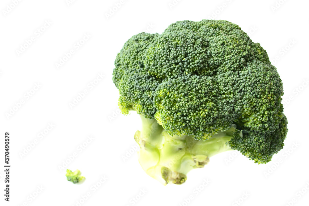 Fresh green broccoli isolate on white. Copy space Fresh green broccoli isolate on white. Copy space