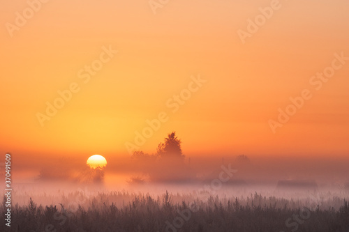 Photo of a foggy morning outside the city. The sun rises above the horizon.