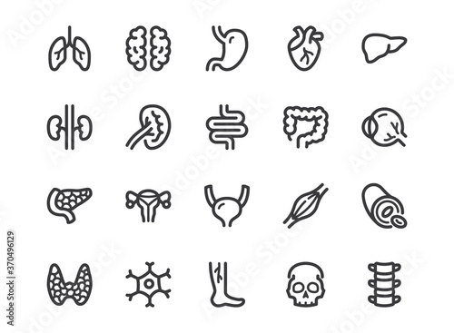 Human internal organ line icon. Minimal vector illustration with simple outline icons as lung, heart, stomach, bone, brain, kidney, skull and other anatomy parts. Editable Stroke. Pixel Perfect