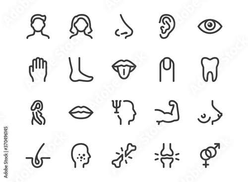 Human body parts line icon. Minimal vector illustration with simple outline icons as arm, mouth, hand, human, leg, acne, nose, pregnant, eye, and other anatomy. Editable Stroke. Pixel Perfect