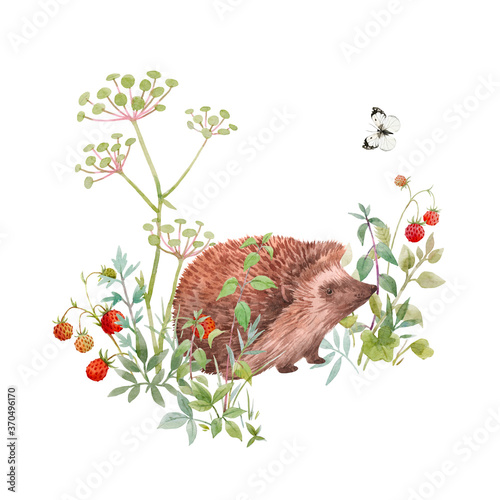 Beautiful floral composition with watercolor cute hedgehog field flowers and berries. Stock illuistration. photo