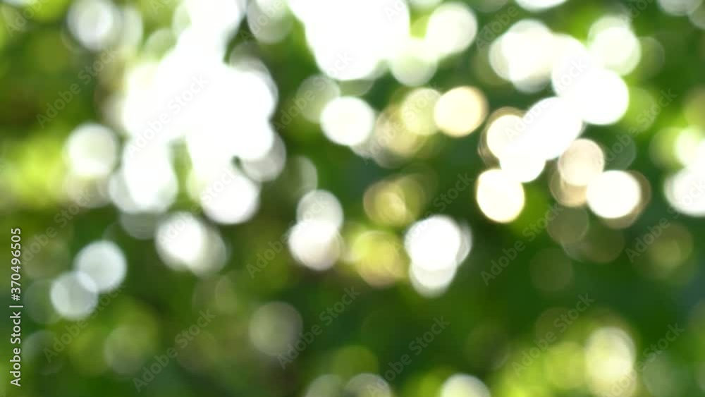 Beautiful green natural abstract video bokeh background. Fresh defocused foliage of leafy trees isolated on sky background. Sun rays bursting through leaves blowing in wind. Beautiful green natural abstract video bokeh background. Fresh defocused foliage of leafy trees isolated on sky background. Sun rays bursting through leaves blowing in wind.