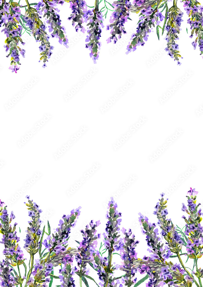 Fototapeta premium Lavender flowers. Watercolor border stripe, floral card