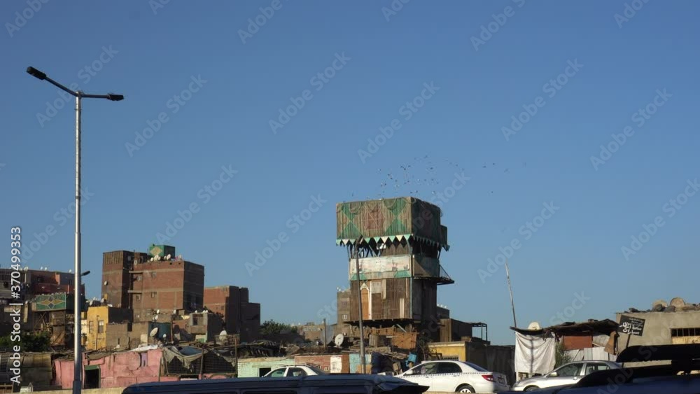 Cairo Egypt pigeon farm tower for breeding in apartment building roof Cairo Egypt pigeon farm tower for breeding in apartment building roof