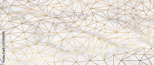 Luxury  abstract polygon artistic geometric with gold line and white marble background. Vector illustration.
