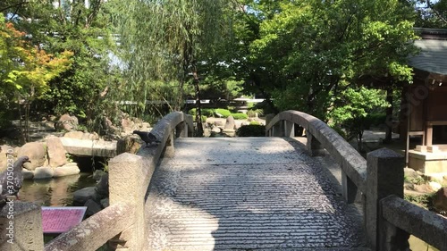 橋　鳥