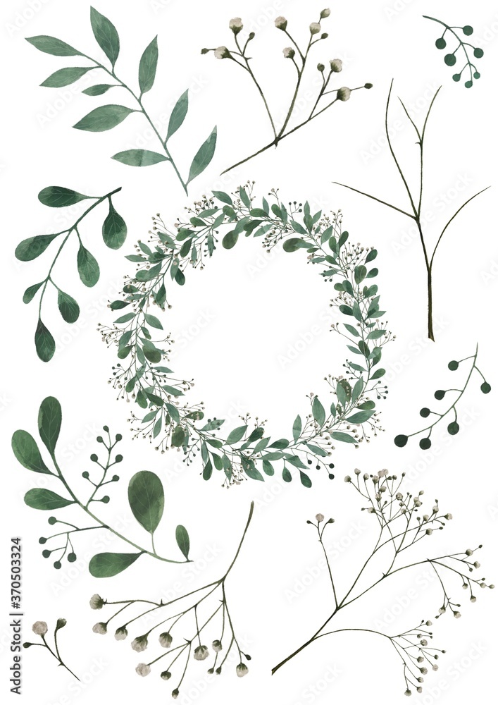 Obraz premium Eucalyptus and gypsophila (baby’s breath) wreath and flower elements Набор «Эвкалипт и Гипсофила»