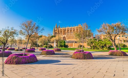 Cathedral La Seu in Palma de Mallorca, Spain, Balearic Islands photo