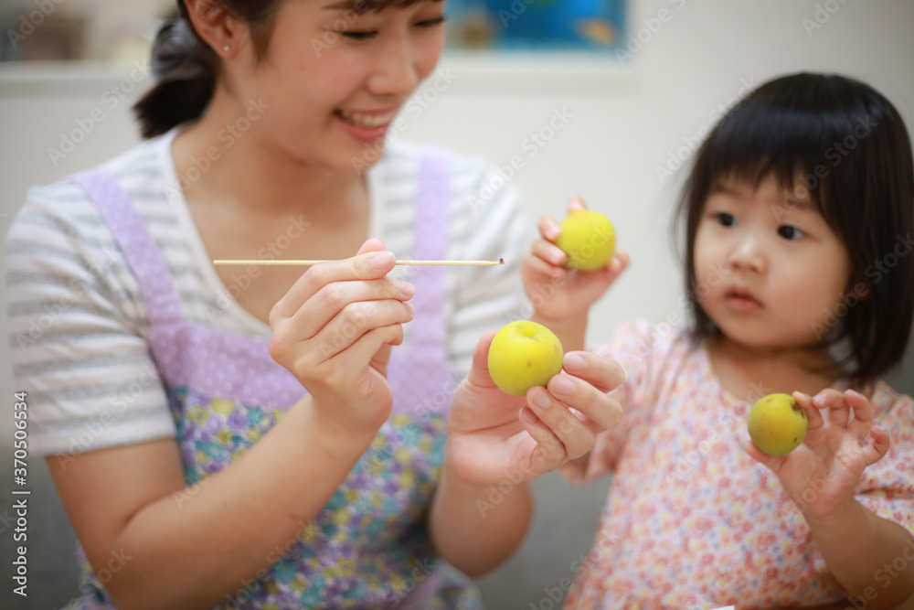 梅酒を作る親子 梅酒を作る親子