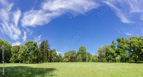 Panorama of glade in the park in summer sunny day