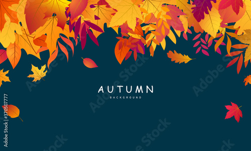 Autumn falling leaves background  Vector template.
