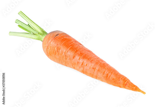 Ripe carrot isolated on a white background