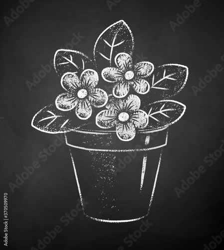 Chalk drawn illustration of flower in pot