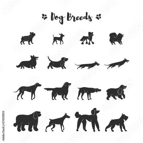 Fototapeta Naklejka Na Ścianę i Meble -  Set icons of dogs. Different breeds. Black silhouette.