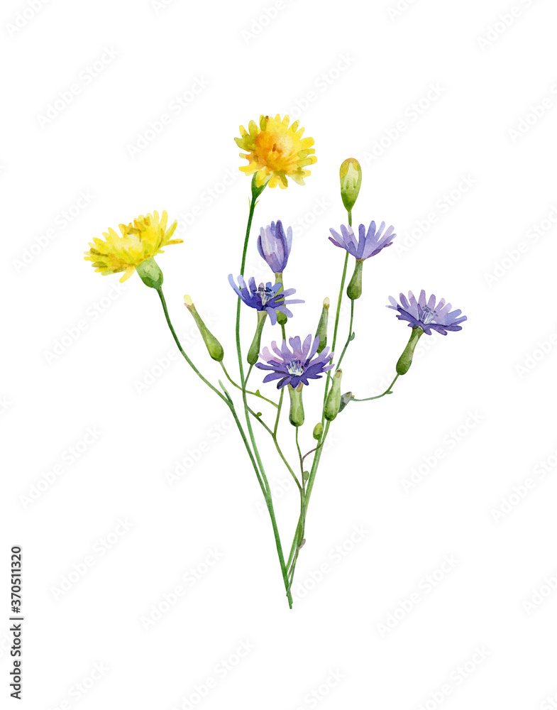 Watercolor bouquet of blue daisies and dandelions on white background For congratulations, invitations, anniversaries, weddings, birthday
Watercolor bouquet of blue daisies and dandelions on white background For congratulations, invitations, anniversaries, weddings, birthday