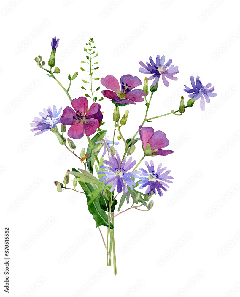Watercolor bouquet of wild pink and blue flowers on a white background . For congratulations, invitations, anniversaries, weddings, birthday Watercolor bouquet of wild pink and blue flowers on a white background . For congratulations, invitations, anniversaries, weddings, birthday