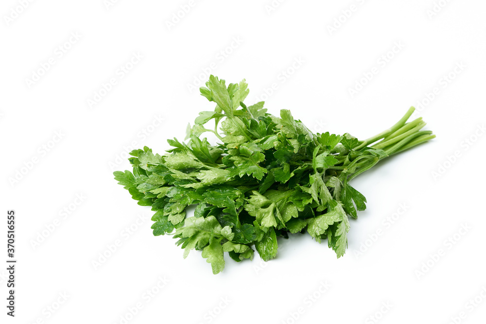 Bunch of fresh parsley with small drops of water Isolated on a white background Bunch of fresh parsley with small drops of water Isolated on a white background