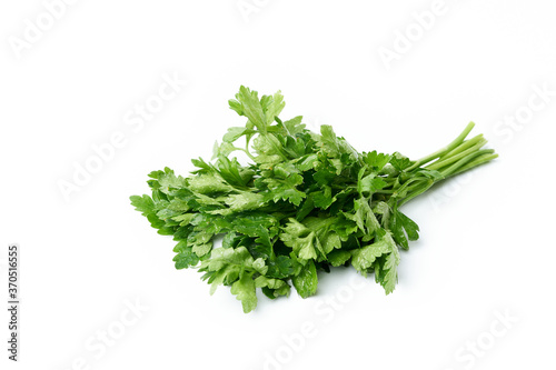 Bunch of fresh parsley with small drops of water Isolated on a white background