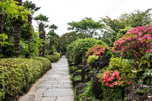 the beautiful green forest park.