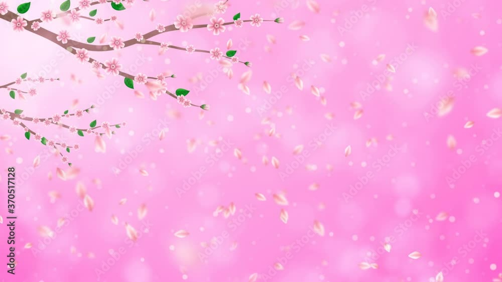 Pink Cherry blossom branch with falling petals animation. Japanese spring sakura flat design background. Pink Cherry blossom branch with falling petals animation. Japanese spring sakura flat design background.