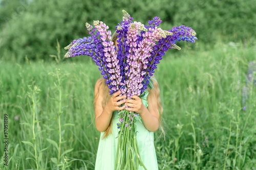 Fototapeta Naklejka Na Ścianę i Meble -  faceless little kid girl with bouquet of bloom flowers lupines in a field in nature outdoor