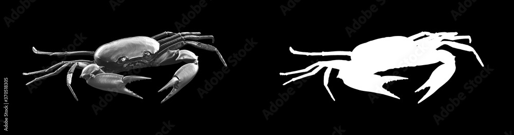 A collection of black metal sculptures on a black background for your design ideas. 3D rendering of objects that can be stylized.