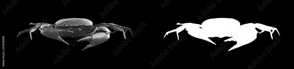 A collection of black metal sculptures on a black background for your design ideas. 3D rendering of objects that can be stylized. A collection of black metal sculptures on a black background for your design ideas. 3D rendering of objects that can be stylized.